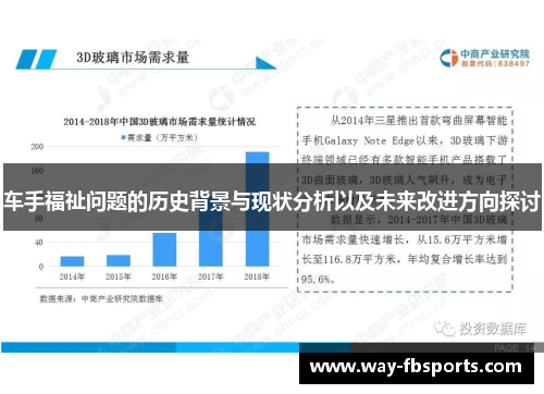 车手福祉问题的历史背景与现状分析以及未来改进方向探讨